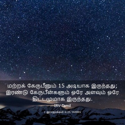 Picture 03 - 1 இராஜாக்கள் 6:25 TAMIRV - மற்றக் கேருபீனும் - Bible Verse Picture