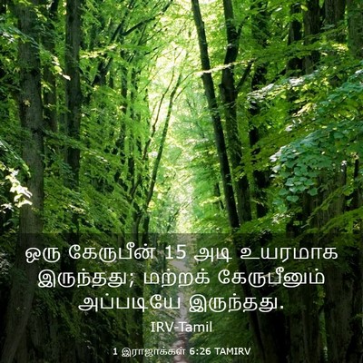 Picture 03 - 1 இராஜாக்கள் 6:26 TAMIRV - ஒரு கேருபீன் 15 அடி - Bible Verse Picture