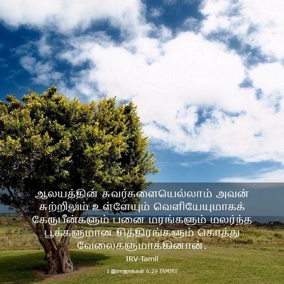 Picture 03 - 1 இராஜாக்கள் 6:29 TAMIRV - ஆலயத்தின் - Bible Verse Picture