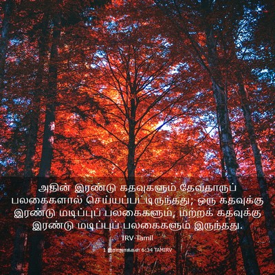 Picture 03 - 1 இராஜாக்கள் 6:34 TAMIRV - அதின் இரண்டு - Bible Verse Picture