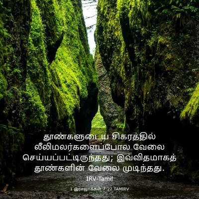 Picture 03 - 1 இராஜாக்கள் 7:22 TAMIRV - தூண்களுடைய - Bible Verse Picture