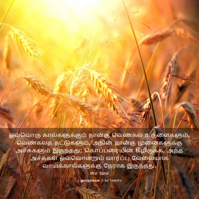 Picture 03 - 1 இராஜாக்கள் 7:30 TAMIRV - ஒவ்வொரு - Bible Verse Picture