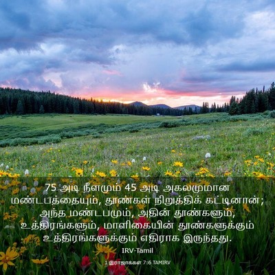 Picture 03 - 1 இராஜாக்கள் 7:6 TAMIRV - 75 அடி நீளமும் 45 அடி - Bible Verse Picture