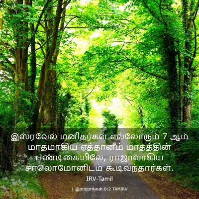 Picture 03 - 1 இராஜாக்கள் 8:2 TAMIRV - இஸ்ரவேல் - Bible Verse Picture