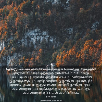 Picture 03 - 1 இராஜாக்கள் 8:40 TAMIRV - தேவரீர் எங்கள் - Bible Verse Picture