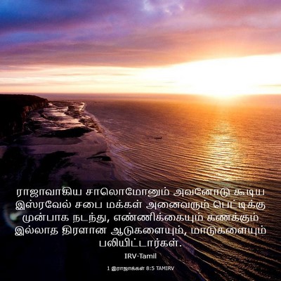 Picture 03 - 1 இராஜாக்கள் 8:5 TAMIRV - ராஜாவாகிய - Bible Verse Picture