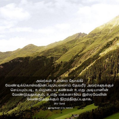 Picture 03 - 1 இராஜாக்கள் 8:52 TAMIRV - அவர்கள் உம்மை - Bible Verse Picture