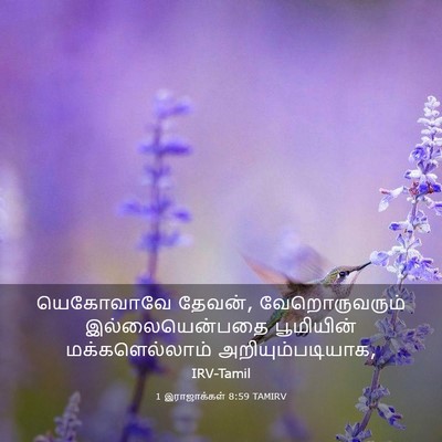 Picture 03 - 1 இராஜாக்கள் 8:59 TAMIRV - யெகோவாவே தேவன், - Bible Verse Picture