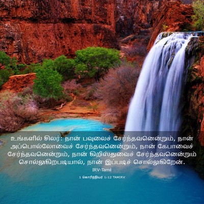 Picture 03 - 1 கொரிந்தியர் 1:12 TAMIRV - உங்களில் சிலர்: - Bible Verse Picture