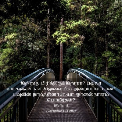 Picture 03 - 1 கொரிந்தியர் 1:13 TAMIRV - கிறிஸ்து - Bible Verse Picture