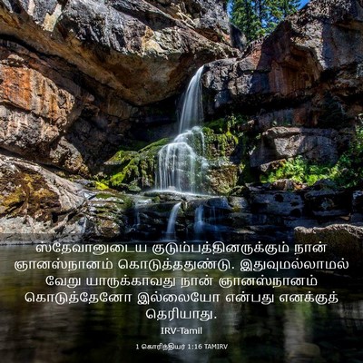 Picture 03 - 1 கொரிந்தியர் 1:16 TAMIRV - ஸ்தேவானுடைய - Bible Verse Picture