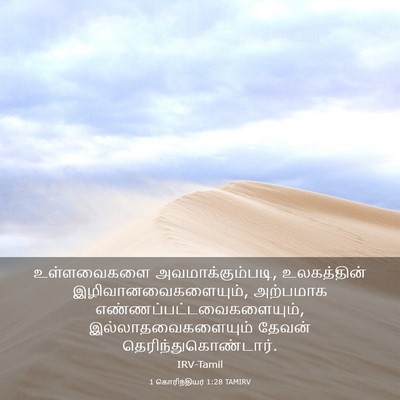 Picture 03 - 1 கொரிந்தியர் 1:28 TAMIRV - உள்ளவைகளை - Bible Verse Picture