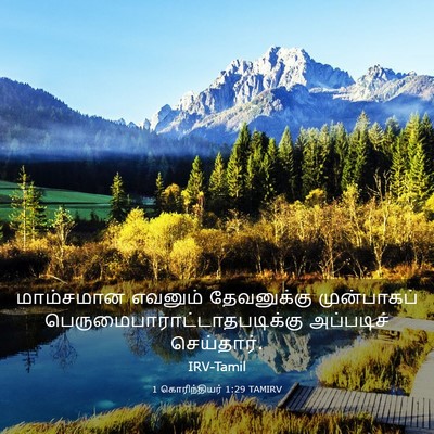 Picture 03 - 1 கொரிந்தியர் 1:29 TAMIRV - மாம்சமான எவனும் - Bible Verse Picture