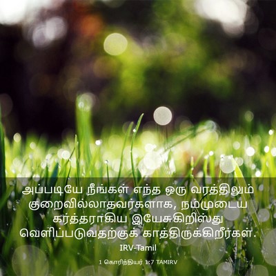 Picture 03 - 1 கொரிந்தியர் 1:7 TAMIRV - அப்படியே நீங்கள் - Bible Verse Picture