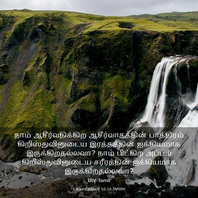 Picture 03 - 1 கொரிந்தியர் 10:16 TAMIRV - நாம் - Bible Verse Picture