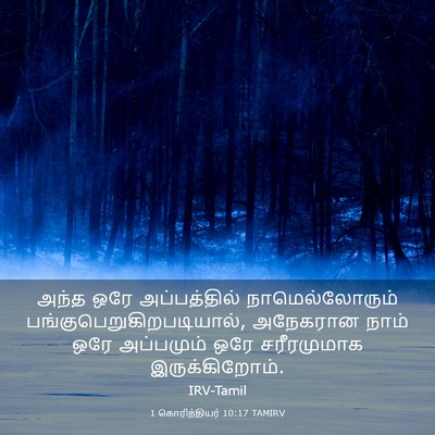 Picture 03 - 1 கொரிந்தியர் 10:17 TAMIRV - அந்த ஒரே - Bible Verse Picture