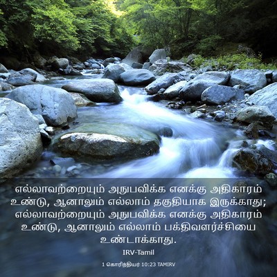 Picture 03 - 1 கொரிந்தியர் 10:23 TAMIRV - எல்லாவற்றையும் - Bible Verse Picture