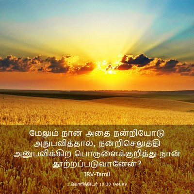 Picture 03 - 1 கொரிந்தியர் 10:30 TAMIRV - மேலும் நான் அதை - Bible Verse Picture