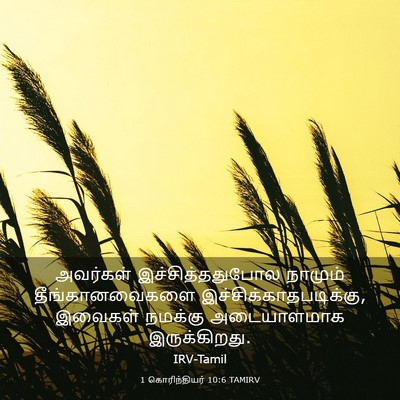Picture 03 - 1 கொரிந்தியர் 10:6 TAMIRV - அவர்கள் - Bible Verse Picture