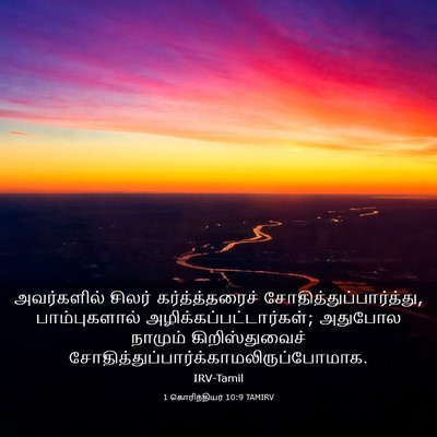 Picture 03 - 1 கொரிந்தியர் 10:9 TAMIRV - அவர்களில் சிலர் - Bible Verse Picture