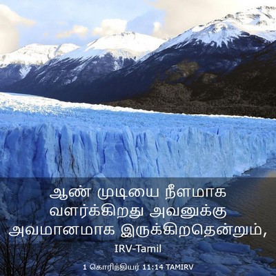 Picture 03 - 1 கொரிந்தியர் 11:14 TAMIRV - ஆண் முடியை நீளமாக - Bible Verse Picture