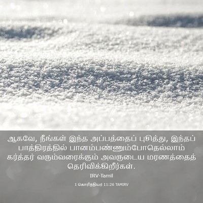 Picture 03 - 1 கொரிந்தியர் 11:26 TAMIRV - ஆகவே, நீங்கள் இந்த - Bible Verse Picture
