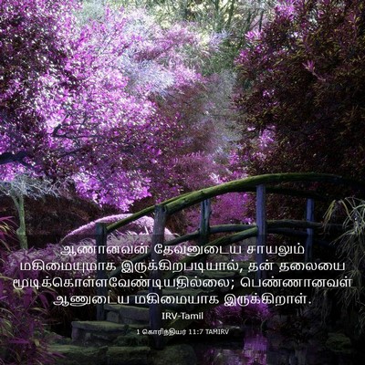 Picture 03 - 1 கொரிந்தியர் 11:7 TAMIRV - ஆணானவன் தேவனுடைய - Bible Verse Picture