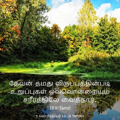 Picture 03 - 1 கொரிந்தியர் 12:18 TAMIRV - தேவன் தமது - Bible Verse Picture
