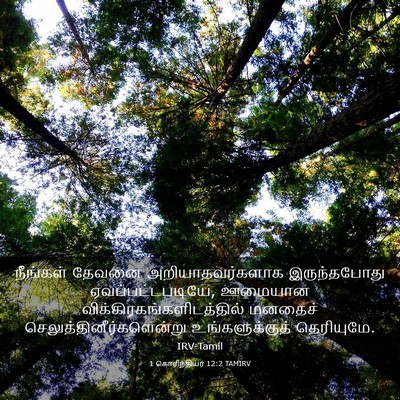 Picture 03 - 1 கொரிந்தியர் 12:2 TAMIRV - நீங்கள் தேவனை - Bible Verse Picture