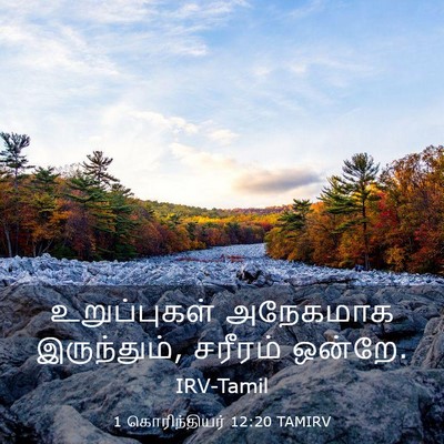Picture 03 - 1 கொரிந்தியர் 12:20 TAMIRV - உறுப்புகள் - Bible Verse Picture