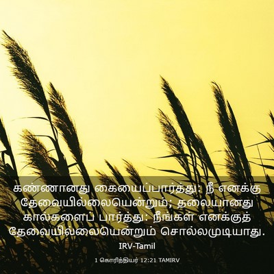 Picture 03 - 1 கொரிந்தியர் 12:21 TAMIRV - கண்ணானது - Bible Verse Picture