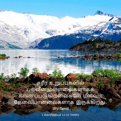 Picture 03 - 1 கொரிந்தியர் 12:22 TAMIRV - சரீர உறுப்புகளில் - Bible Verse Picture