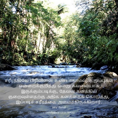 Picture 03 - 1 கொரிந்தியர் 12:25 TAMIRV - சரீரத்திலே - Bible Verse Picture