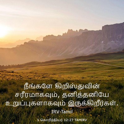 Picture 03 - 1 கொரிந்தியர் 12:27 TAMIRV - நீங்களே - Bible Verse Picture