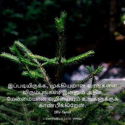 Picture 03 - 1 கொரிந்தியர் 12:31 TAMIRV - இப்படியிருக்க, - Bible Verse Picture