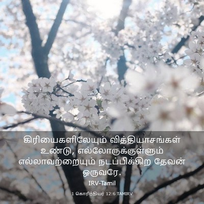 Picture 03 - 1 கொரிந்தியர் 12:6 TAMIRV - கிரியைகளிலேயும் - Bible Verse Picture