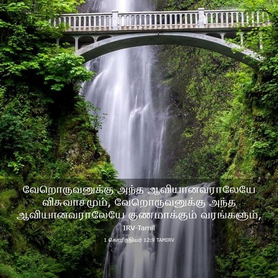 Picture 03 - 1 கொரிந்தியர் 12:9 TAMIRV - வேறொருவனுக்கு - Bible Verse Picture