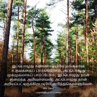 Picture 03 - 1 கொரிந்தியர் 13:12 TAMIRV - இப்பொழுது - Bible Verse Picture