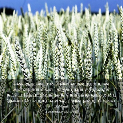 Picture 03 - 1 கொரிந்தியர் 13:3 TAMIRV - எனக்கு உண்டான - Bible Verse Picture