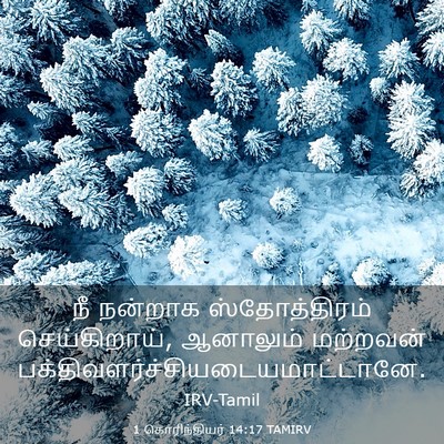 Picture 03 - 1 கொரிந்தியர் 14:17 TAMIRV - நீ நன்றாக - Bible Verse Picture