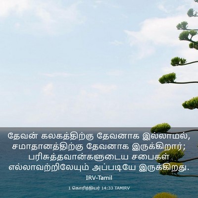Picture 03 - 1 கொரிந்தியர் 14:33 TAMIRV - தேவன் கலகத்திற்கு - Bible Verse Picture