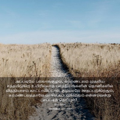 Picture 03 - 1 கொரிந்தியர் 14:7 TAMIRV - அப்படியே - Bible Verse Picture