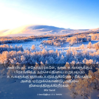 Picture 03 - 1 கொரிந்தியர் 15:1 TAMIRV - அன்றியும், - Bible Verse Picture