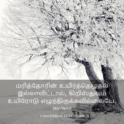 Picture 03 - 1 கொரிந்தியர் 15:13 TAMIRV - மரித்தோரின் - Bible Verse Picture