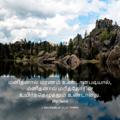 Picture 03 - 1 கொரிந்தியர் 15:21 TAMIRV - மனிதனால் மரணம் - Bible Verse Picture