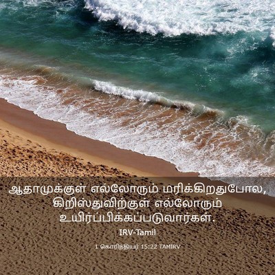 Picture 03 - 1 கொரிந்தியர் 15:22 TAMIRV - ஆதாமுக்குள் - Bible Verse Picture