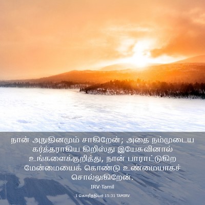 Picture 03 - 1 கொரிந்தியர் 15:31 TAMIRV - நான் அநுதினமும் - Bible Verse Picture