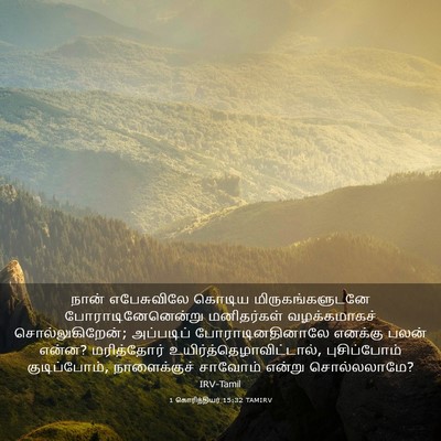 Picture 03 - 1 கொரிந்தியர் 15:32 TAMIRV - நான் எபேசுவிலே - Bible Verse Picture