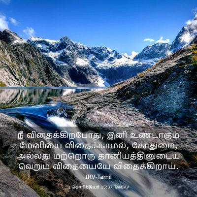 Picture 03 - 1 கொரிந்தியர் 15:37 TAMIRV - நீ விதைக்கிறபோது, - Bible Verse Picture