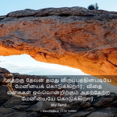Picture 03 - 1 கொரிந்தியர் 15:38 TAMIRV - அதற்கு தேவன் தமது - Bible Verse Picture